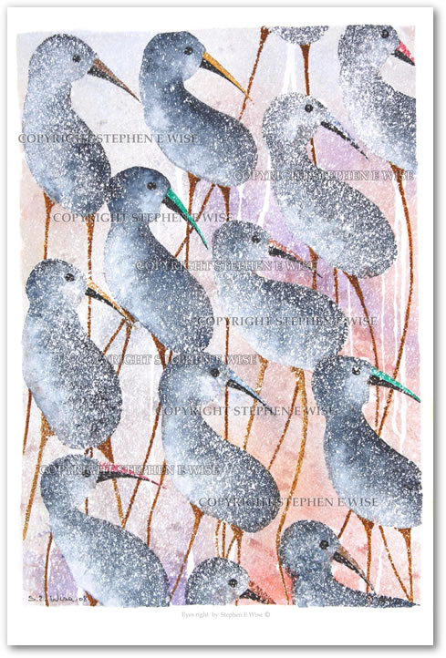 Buy Art Prints from leading Contemporary Artist Stephen E Wise - Artwork Title : Eye's right